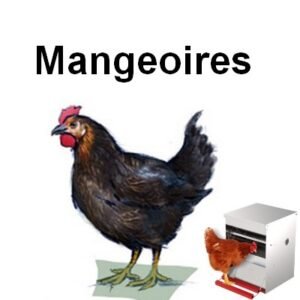 Poules - Mangeoires