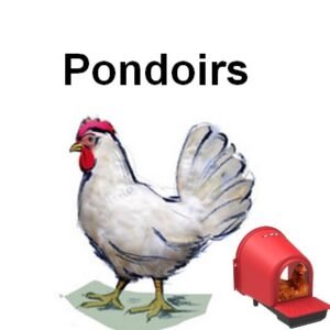 Poules - Pondoirs
