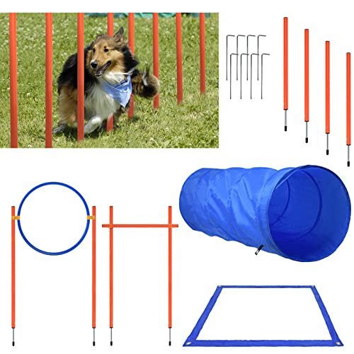 Agility Kit D Entrainement Pour Chien Avec Tunnel Pour Chien Et Obstacles Reglables Hengmei 7