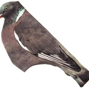 Appelant Pigeon