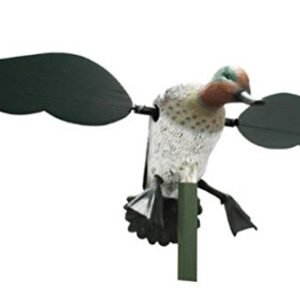 Big Appelant Chasse Gibier D Eau Mojo