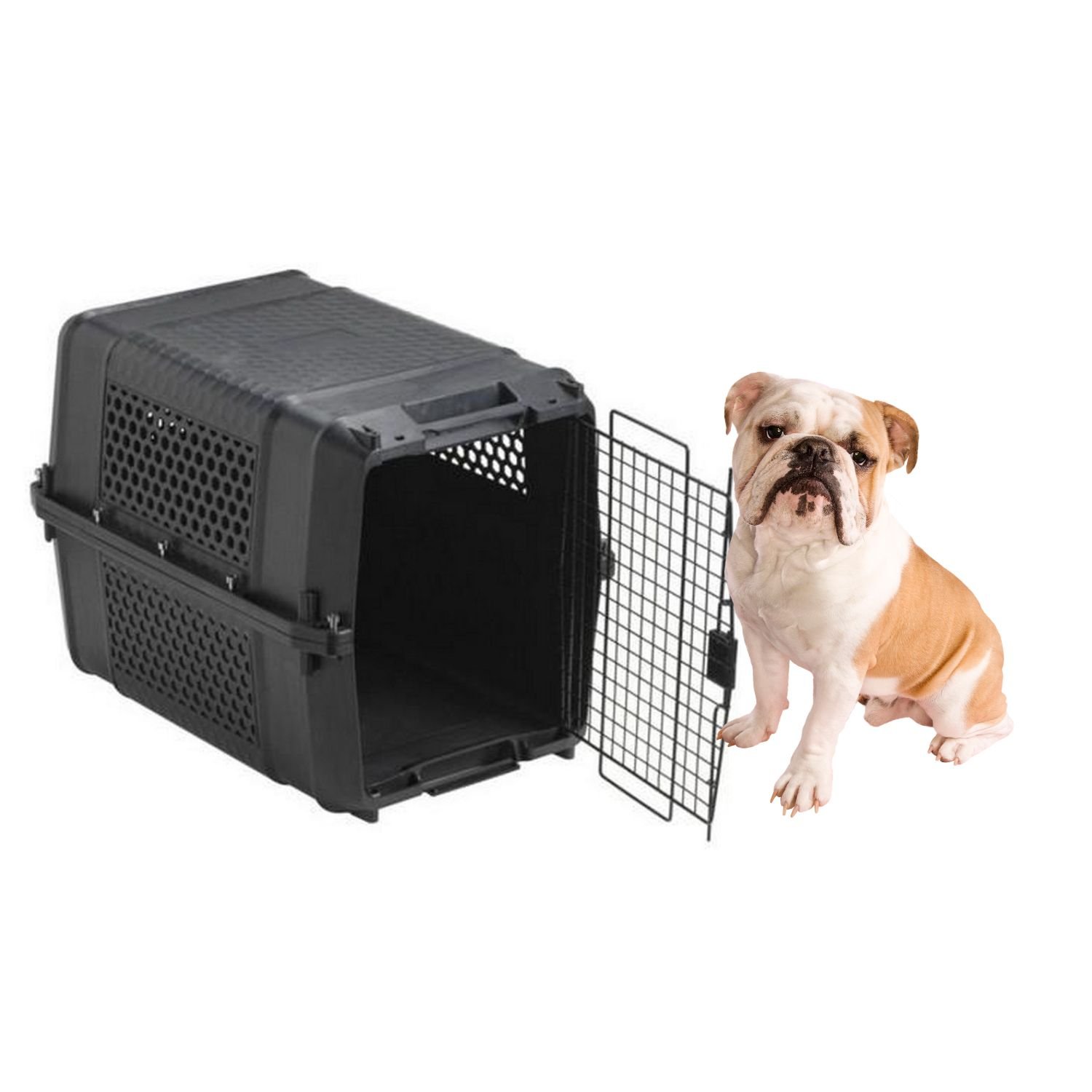 Cage De Transport Pour Chien Normes Iata Gateway Large Durable Pet Kennel 3