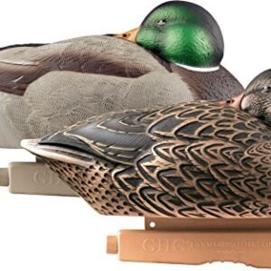 Canards Greenhead 11