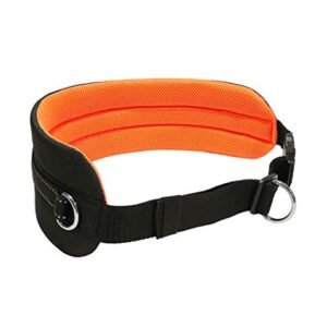 Canicross Ceinture Abdominale Pour Laisse De Chien Lasaline 6