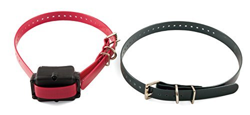 Collier De Dressage Pour Chien Supplementaire Add A Dog Petsafe 4