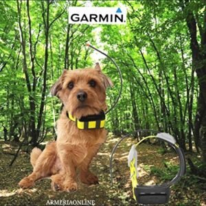 Collier De Localisation Gps Pour Chien Chasse Garmin Athemos K5 2