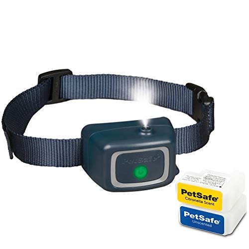 Collier Recepteur Supplementaire Petsafe Add A Dog 6