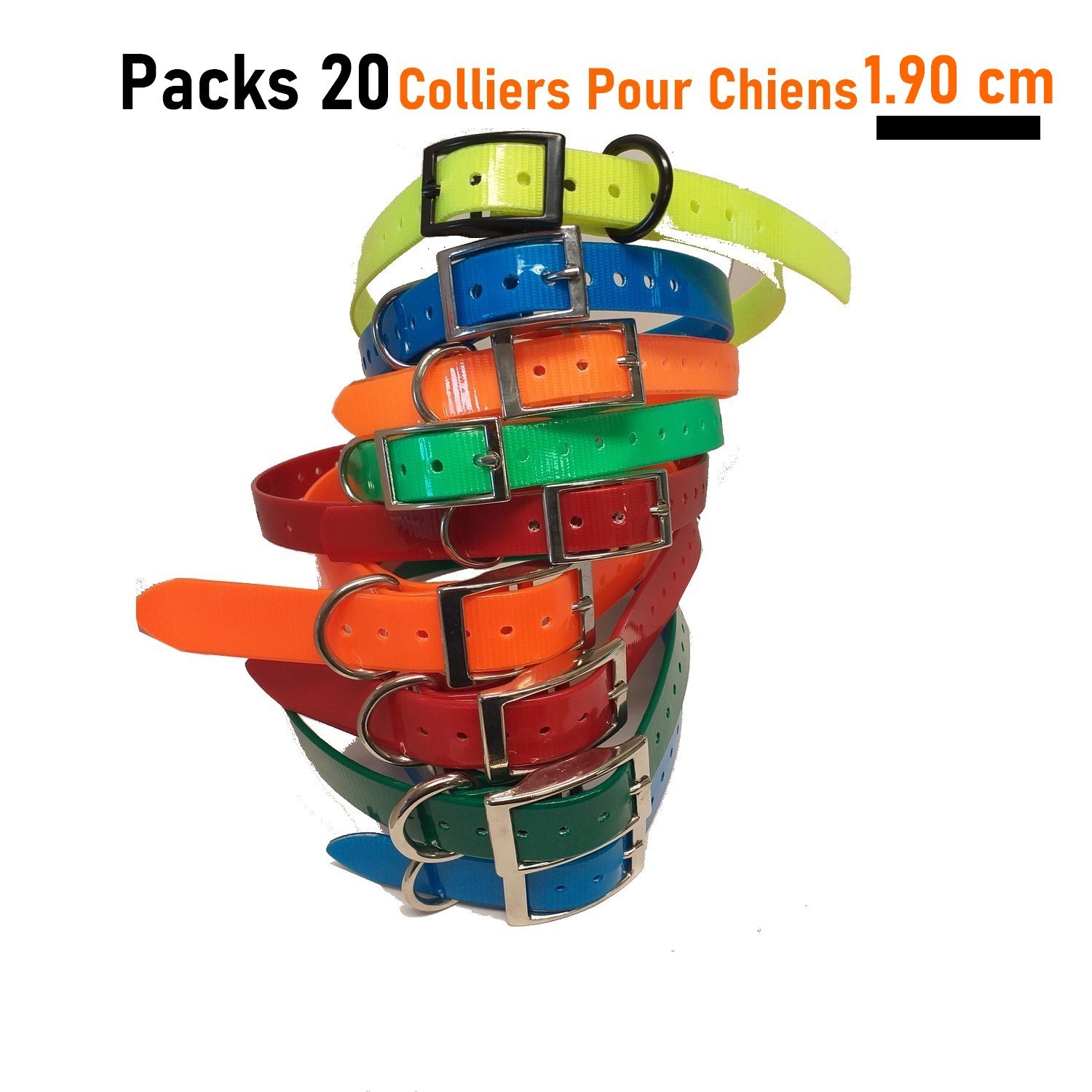 Colliers Sangle Pour Chien 190cm Pack 20