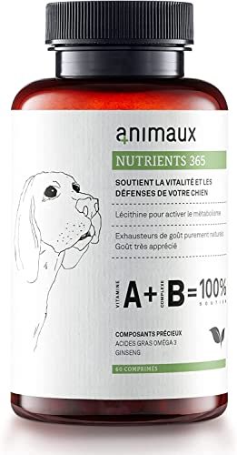 Complement Multivitamine Pour Chiens Avec Des Mineraux Des Oligo Elements Et Du Ginseng 4