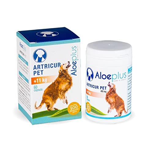 Complement Naturel Pour Les Articulations Du Chien 7