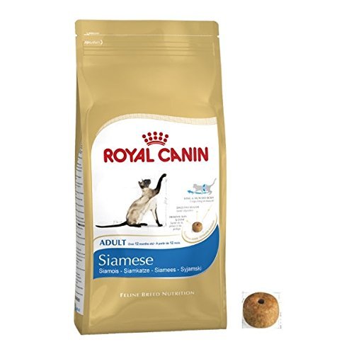 Croquettes Pour Chat Siamois Adulte Royal Canin 4 Kg 2