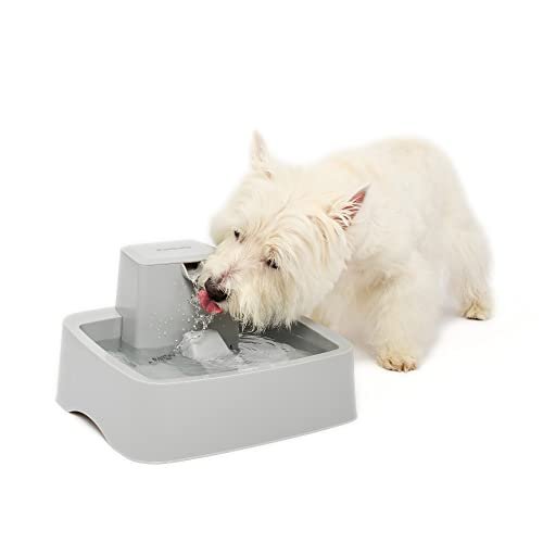 Fontaine A Eau Pour Chien Et Chat Petsafe Drinkwell 6