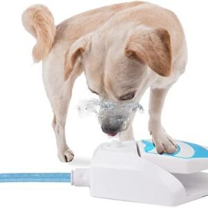 Fontaine De Jardin D Exterieur Pour Chien All For Paws 9