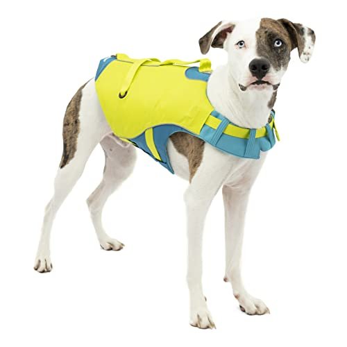 Gilet De Sauvetage Pour Chien 7