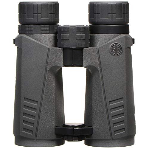 Jumelles 10 X 42 Hdx Sig Sauer