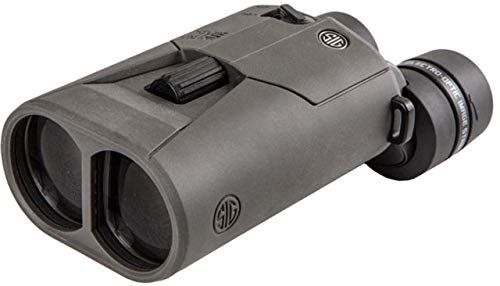 Jumelles 16 X 42 Mm Stabilise D Image Sig Sauer 4