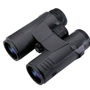 Jumelles Sig Sauer 10 X 42 Hd 4