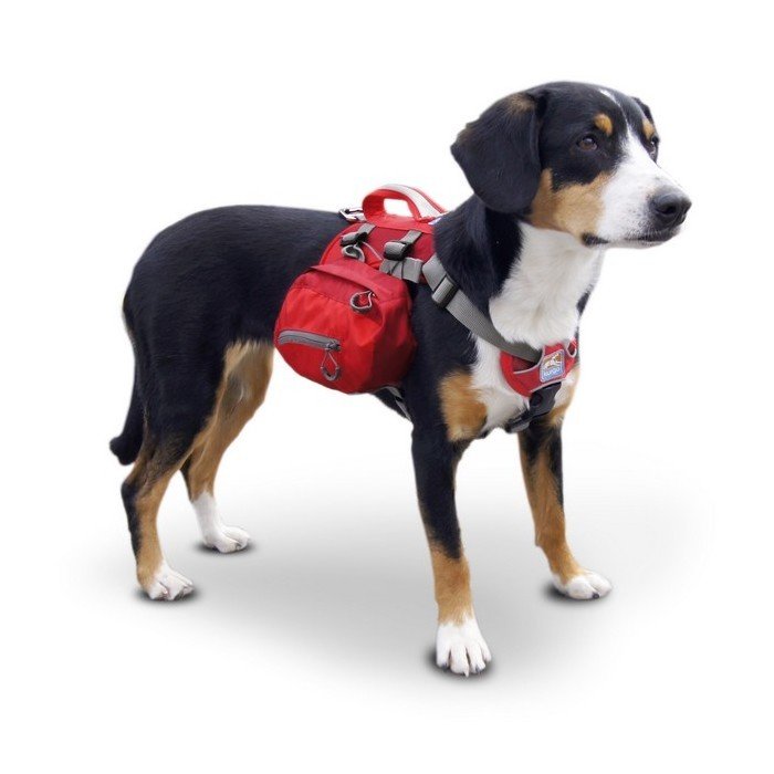 Kurgo Sac A Dos Petit Chien Baxter Backpack Reglable 3