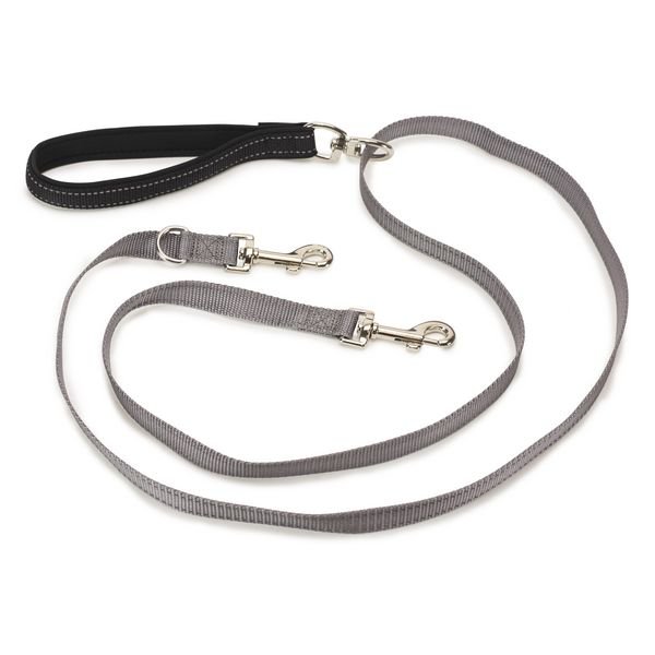 Laisse Anti Traction Pour Chien 1