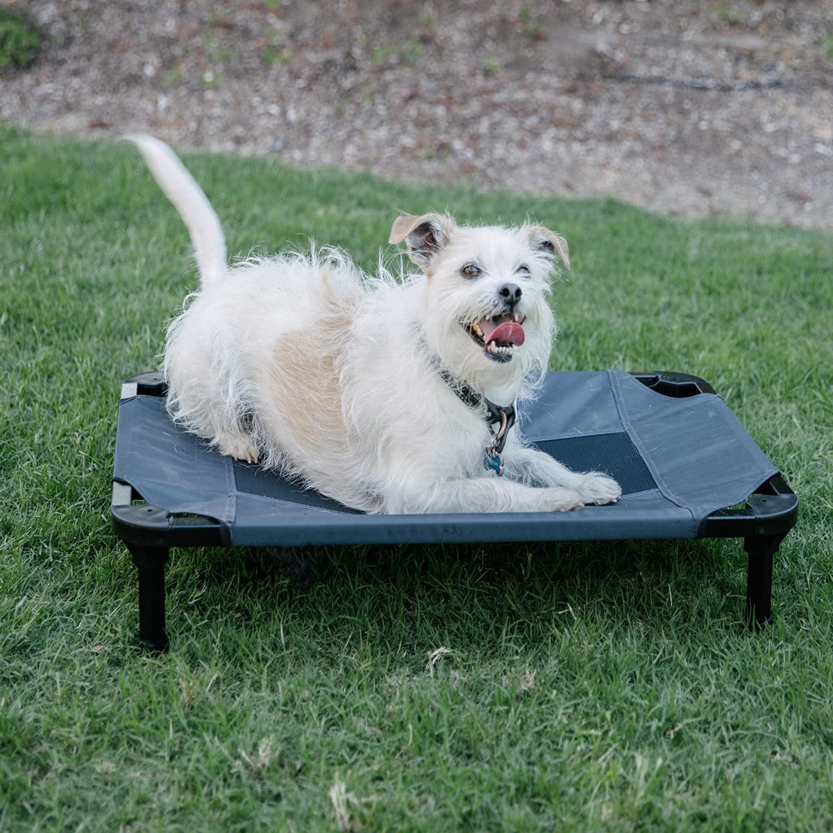 Matelas Lit Pour Chien De Petite Taille 74cm 01