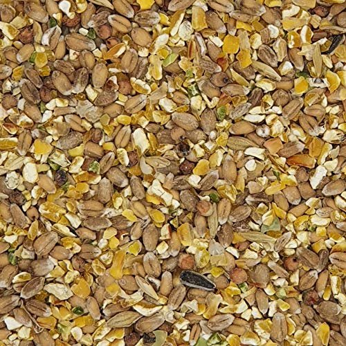 Melange De Grains Pour Poules 3