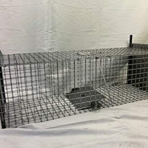 Piege Cage Special Ragondins Trapgallier 2