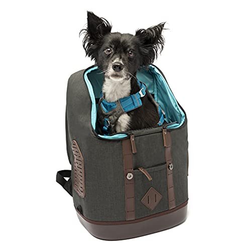 Sac A Dos De Transport Pour Petits Chiens Et Chats 7