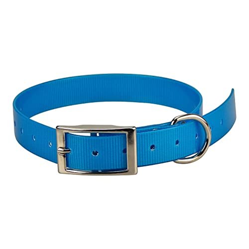 Sangle Pour Collier Garmin T5 Tt15 25 Mm X 68 Cm Bleu Clair 4