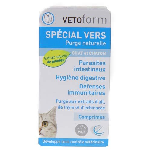 Special Hygiene Intestinale Chat Et Chaton 2