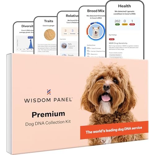 Tests De Sante Adn Pour Chien 6