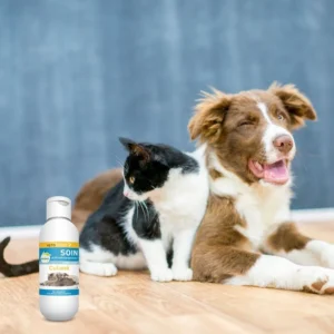 Antidémangeaisons pour chats et chiens