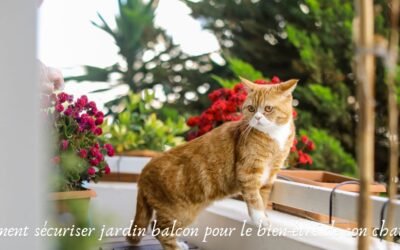 Comment sécuriser son jardin ou balcon pour le bien-être de son chat